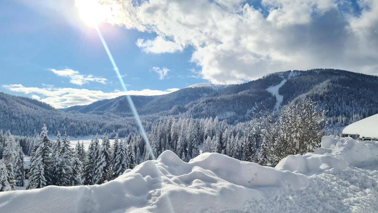 Willa Almhuette Sunset - Flattnitz 1510M Zewnętrze zdjęcie